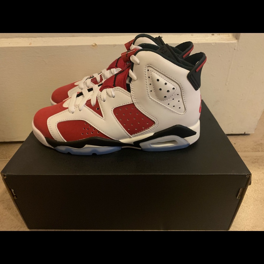 Jordan carmine 6